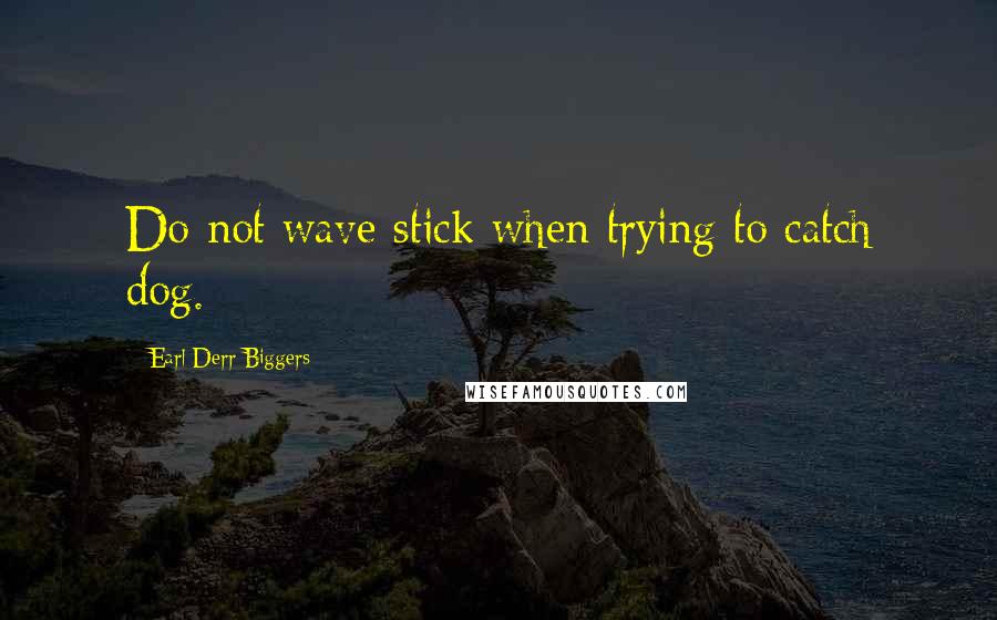 Earl Derr Biggers Quotes: Do not wave stick when trying to catch dog.