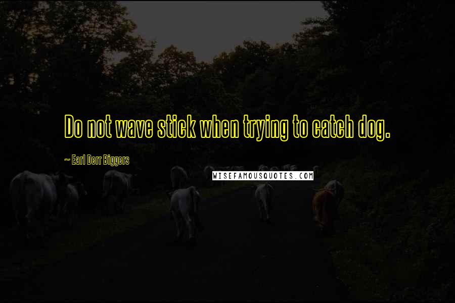 Earl Derr Biggers Quotes: Do not wave stick when trying to catch dog.