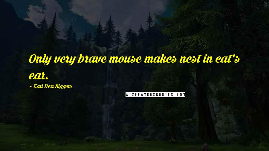 Earl Derr Biggers Quotes: Only very brave mouse makes nest in cat's ear.