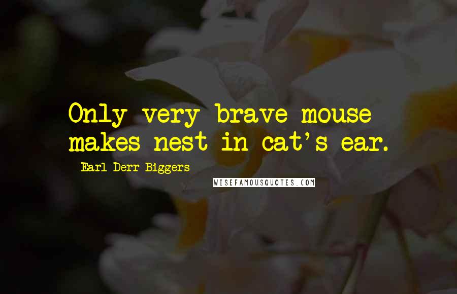 Earl Derr Biggers Quotes: Only very brave mouse makes nest in cat's ear.