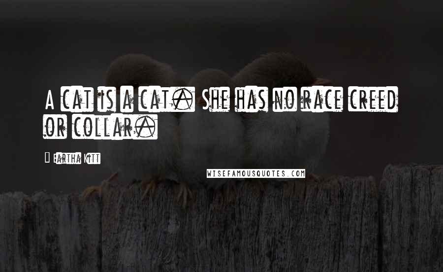 Eartha Kitt Quotes: A cat is a cat. She has no race creed or collar.