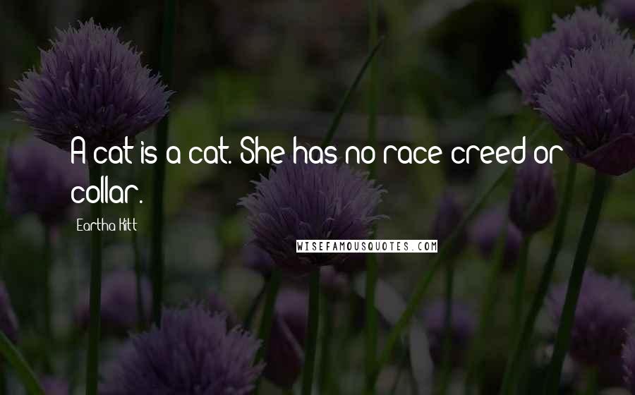 Eartha Kitt Quotes: A cat is a cat. She has no race creed or collar.