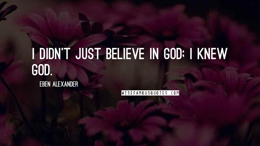 Eben Alexander Quotes: I didn't just believe in God; I knew God.