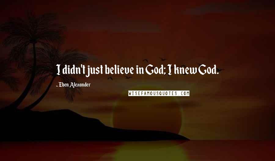 Eben Alexander Quotes: I didn't just believe in God; I knew God.