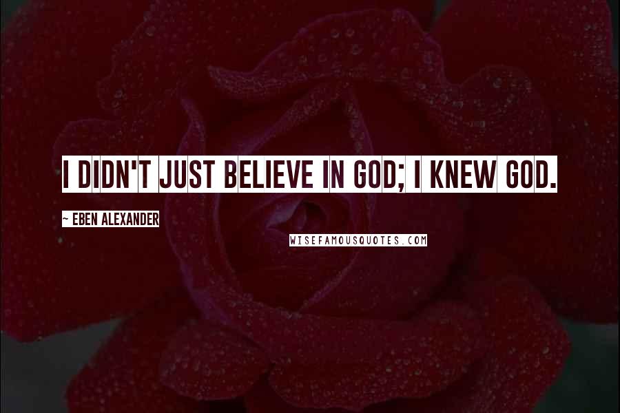 Eben Alexander Quotes: I didn't just believe in God; I knew God.