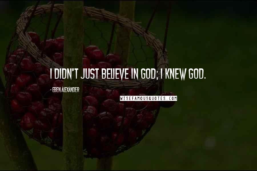 Eben Alexander Quotes: I didn't just believe in God; I knew God.