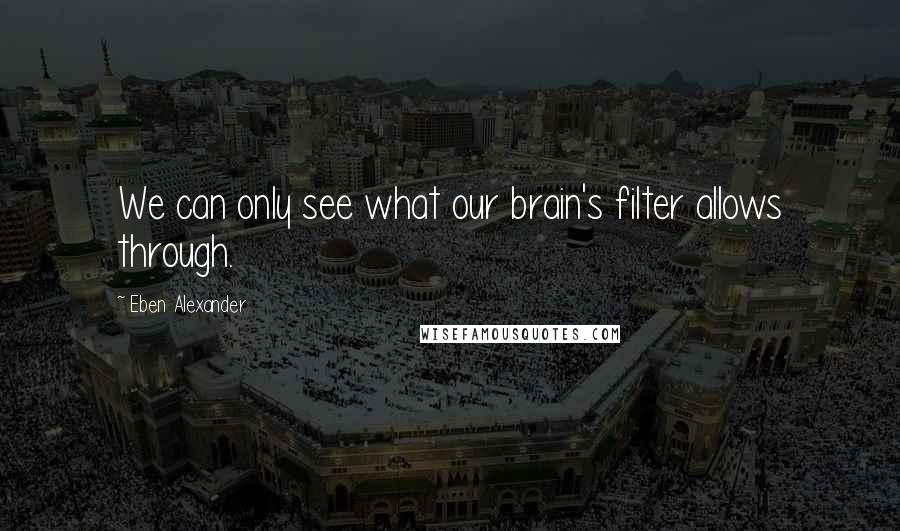 Eben Alexander Quotes: We can only see what our brain's filter allows through.