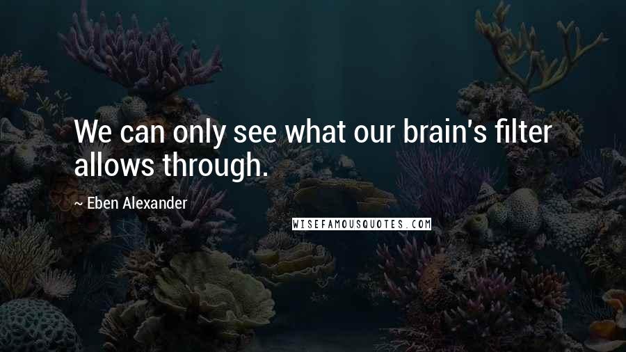 Eben Alexander Quotes: We can only see what our brain's filter allows through.