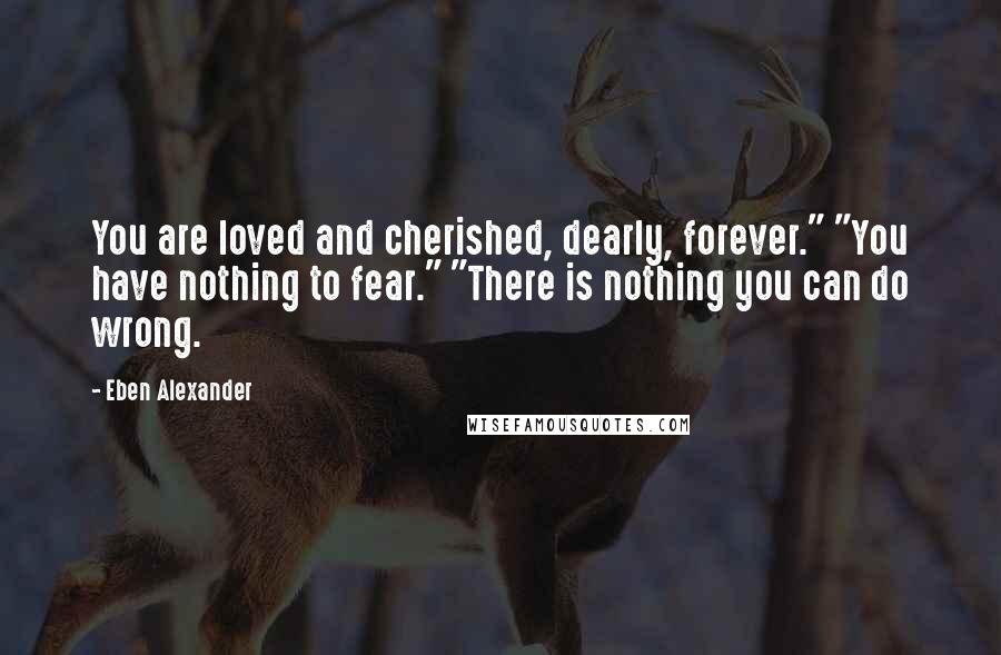 Eben Alexander Quotes: You are loved and cherished, dearly, forever." "You have nothing to fear." "There is nothing you can do wrong.