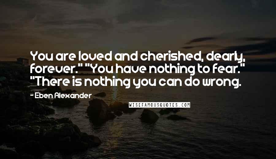 Eben Alexander Quotes: You are loved and cherished, dearly, forever." "You have nothing to fear." "There is nothing you can do wrong.