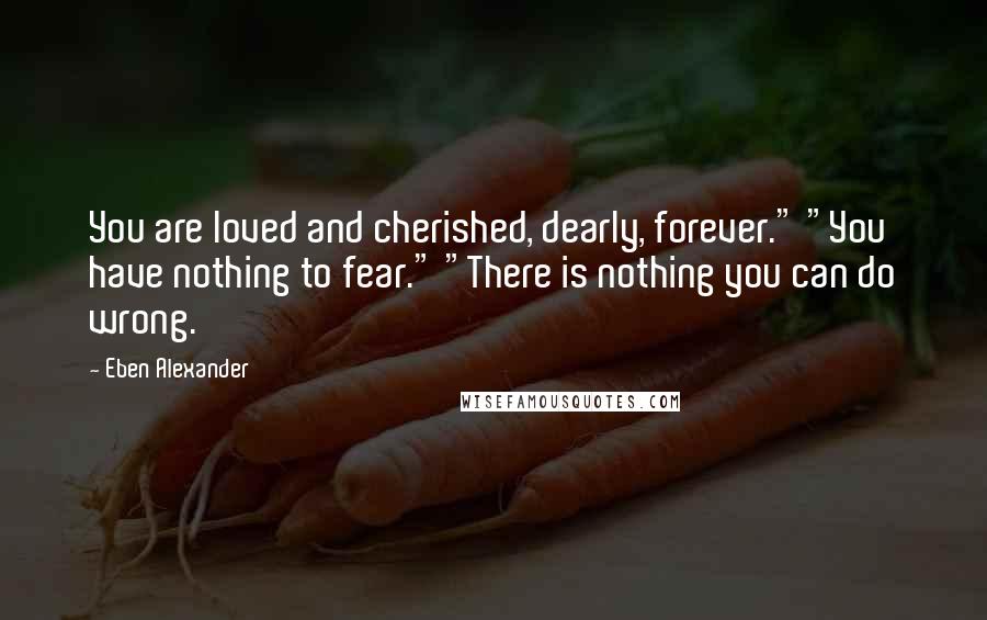 Eben Alexander Quotes: You are loved and cherished, dearly, forever." "You have nothing to fear." "There is nothing you can do wrong.