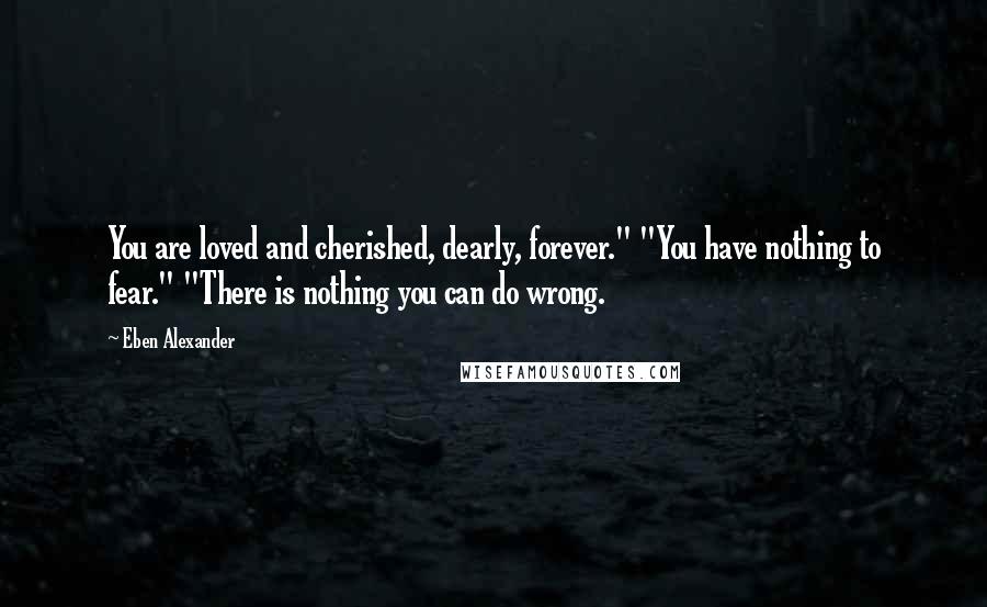 Eben Alexander Quotes: You are loved and cherished, dearly, forever." "You have nothing to fear." "There is nothing you can do wrong.