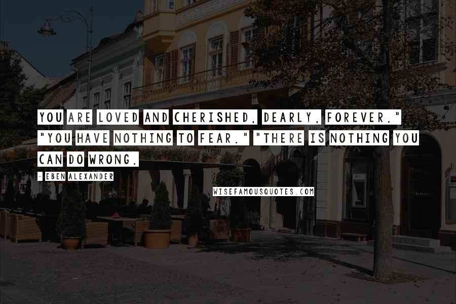 Eben Alexander Quotes: You are loved and cherished, dearly, forever." "You have nothing to fear." "There is nothing you can do wrong.