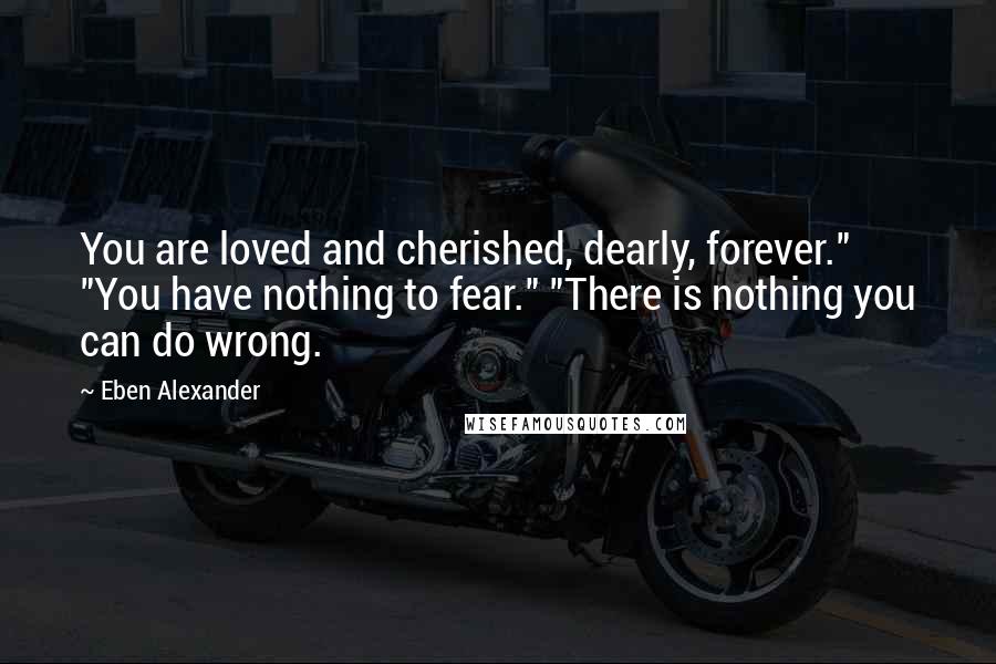 Eben Alexander Quotes: You are loved and cherished, dearly, forever." "You have nothing to fear." "There is nothing you can do wrong.