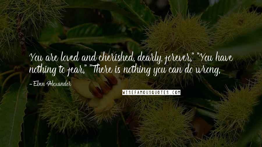 Eben Alexander Quotes: You are loved and cherished, dearly, forever." "You have nothing to fear." "There is nothing you can do wrong.