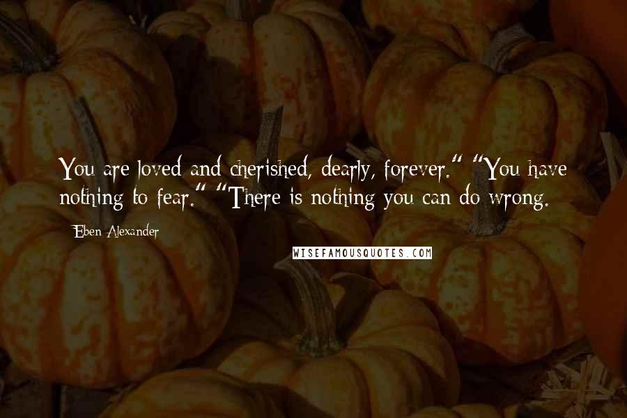 Eben Alexander Quotes: You are loved and cherished, dearly, forever." "You have nothing to fear." "There is nothing you can do wrong.