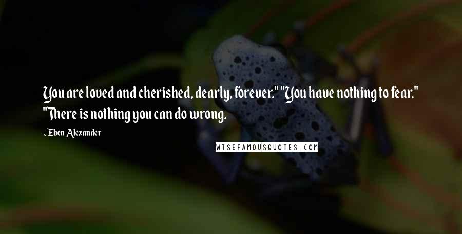 Eben Alexander Quotes: You are loved and cherished, dearly, forever." "You have nothing to fear." "There is nothing you can do wrong.