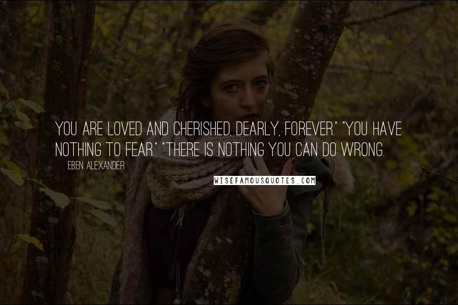 Eben Alexander Quotes: You are loved and cherished, dearly, forever." "You have nothing to fear." "There is nothing you can do wrong.