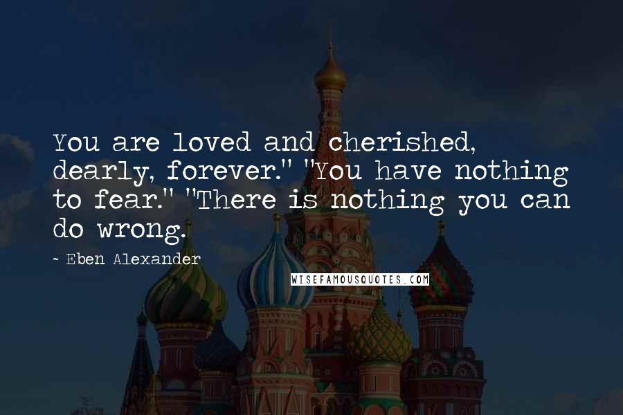 Eben Alexander Quotes: You are loved and cherished, dearly, forever." "You have nothing to fear." "There is nothing you can do wrong.