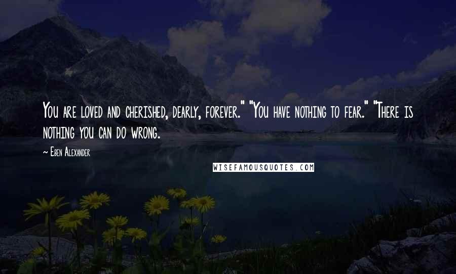 Eben Alexander Quotes: You are loved and cherished, dearly, forever." "You have nothing to fear." "There is nothing you can do wrong.