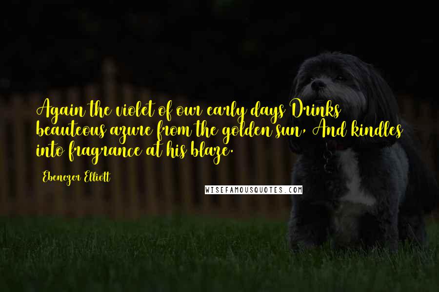 Ebenezer Elliott Quotes: Again the violet of our early days Drinks beauteous azure from the golden sun, And kindles into fragrance at his blaze.