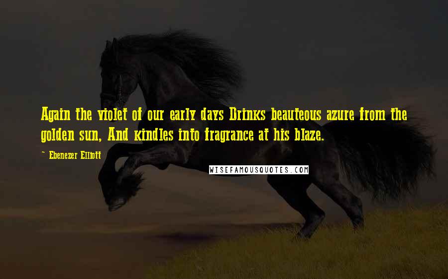 Ebenezer Elliott Quotes: Again the violet of our early days Drinks beauteous azure from the golden sun, And kindles into fragrance at his blaze.