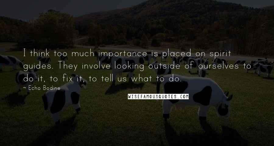 Echo Bodine Quotes: I think too much importance is placed on spirit guides. They involve looking outside of ourselves to do it, to fix it, to tell us what to do.