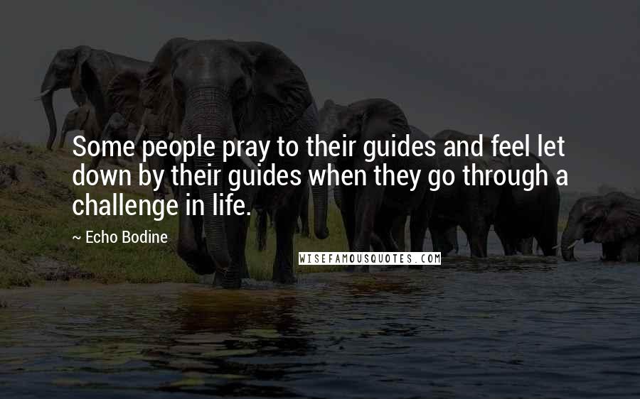 Echo Bodine Quotes: Some people pray to their guides and feel let down by their guides when they go through a challenge in life.