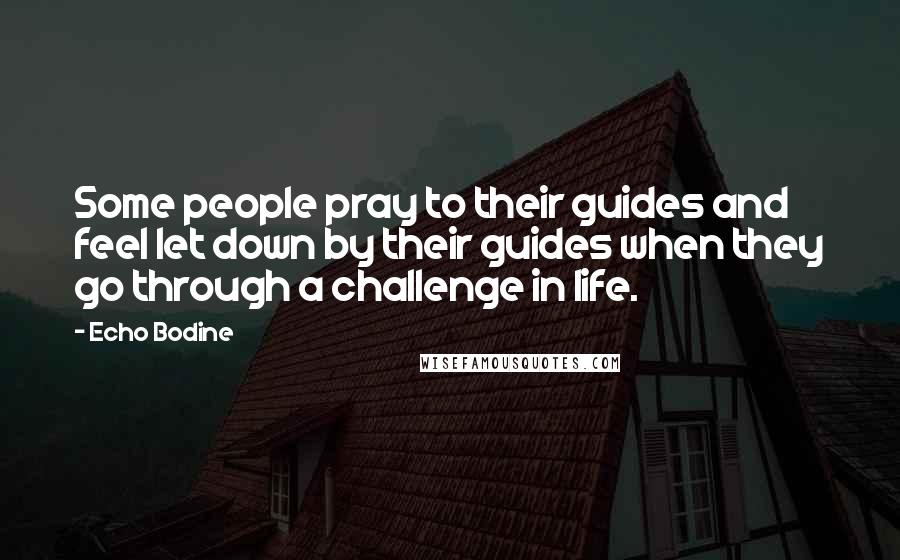 Echo Bodine Quotes: Some people pray to their guides and feel let down by their guides when they go through a challenge in life.