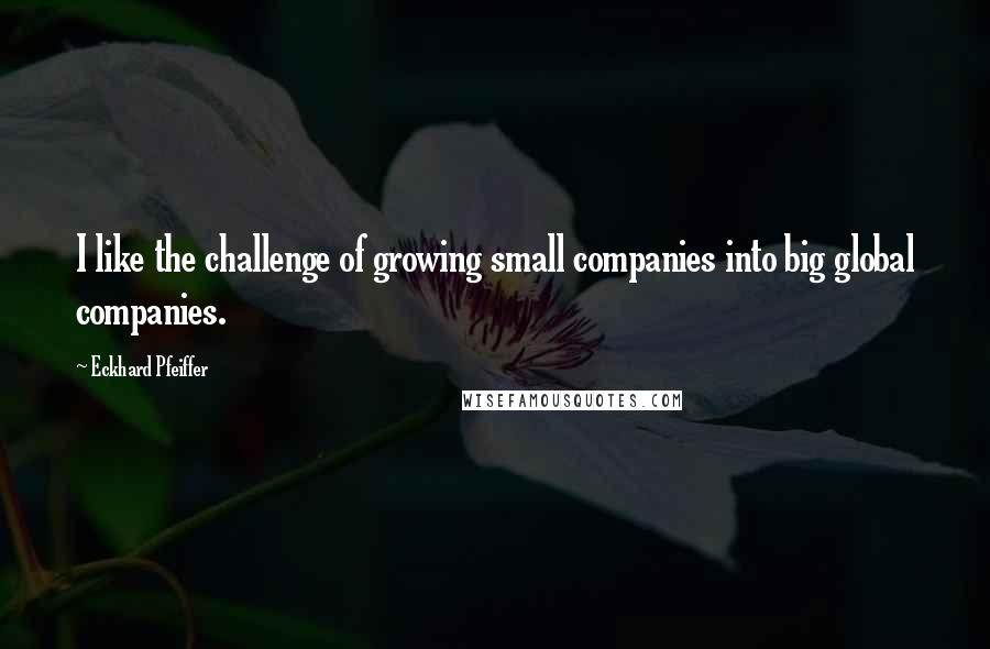 Eckhard Pfeiffer Quotes: I like the challenge of growing small companies into big global companies.