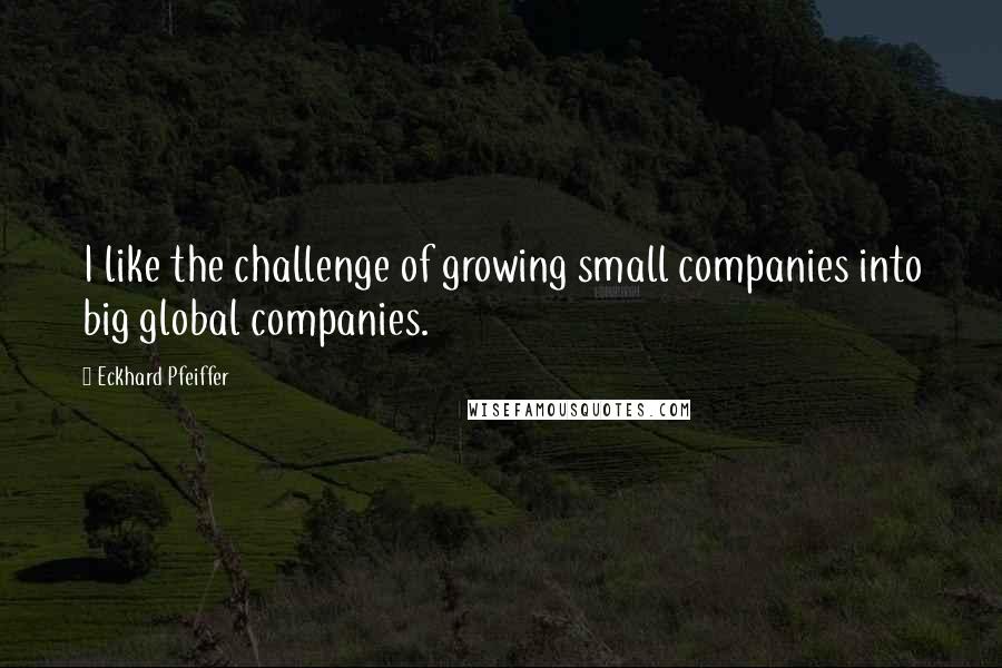 Eckhard Pfeiffer Quotes: I like the challenge of growing small companies into big global companies.