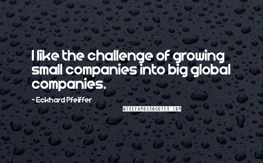 Eckhard Pfeiffer Quotes: I like the challenge of growing small companies into big global companies.