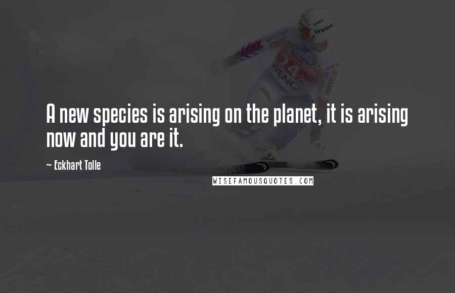 Eckhart Tolle Quotes: A new species is arising on the planet, it is arising now and you are it.