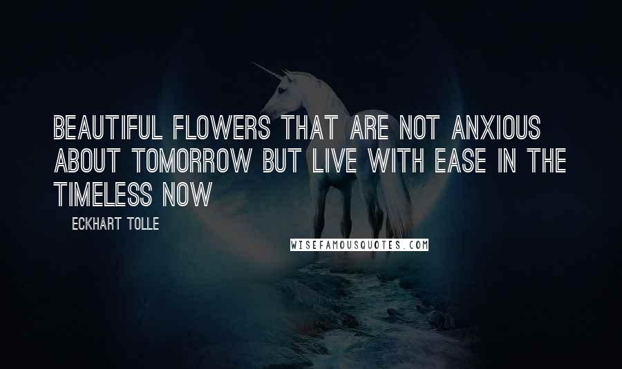 Eckhart Tolle Quotes: Beautiful flowers that are not anxious about tomorrow but live with ease in the timeless Now