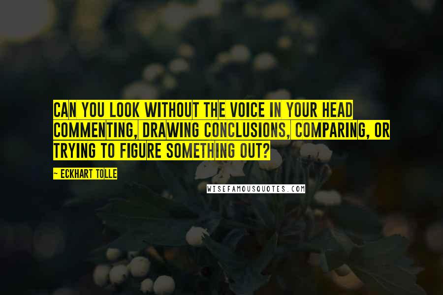 Eckhart Tolle Quotes: Can you look without the voice in your head commenting, drawing conclusions, comparing, or trying to figure something out?