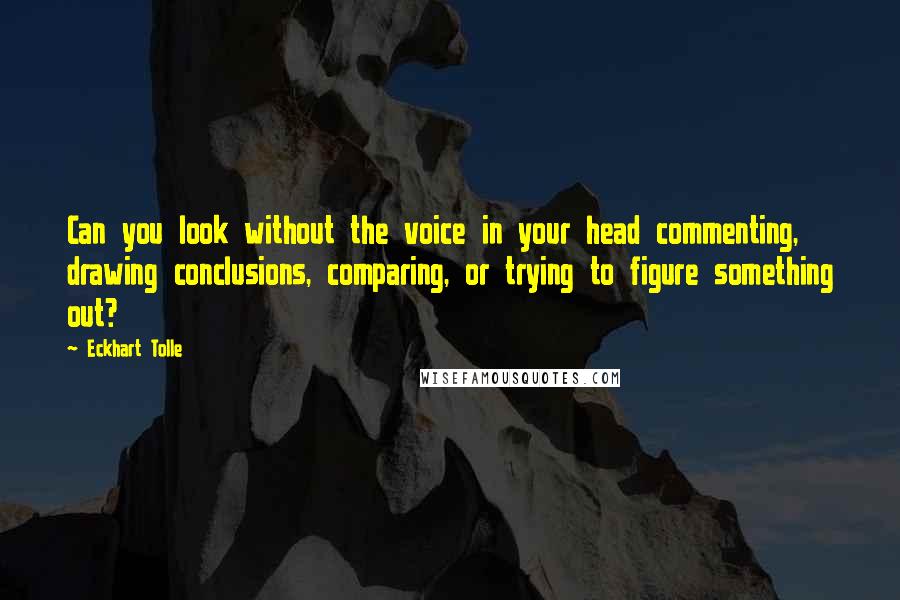 Eckhart Tolle Quotes: Can you look without the voice in your head commenting, drawing conclusions, comparing, or trying to figure something out?