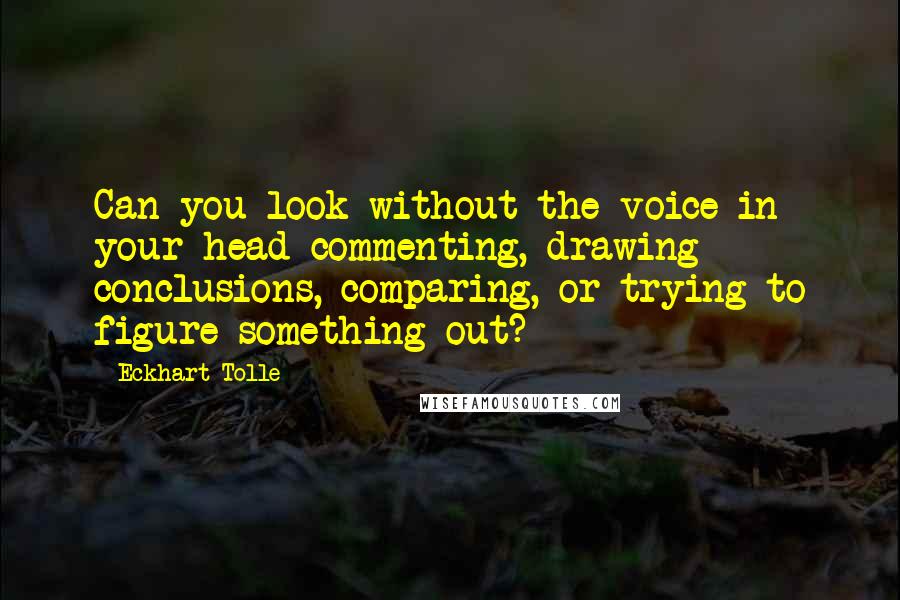 Eckhart Tolle Quotes: Can you look without the voice in your head commenting, drawing conclusions, comparing, or trying to figure something out?