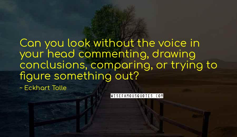 Eckhart Tolle Quotes: Can you look without the voice in your head commenting, drawing conclusions, comparing, or trying to figure something out?