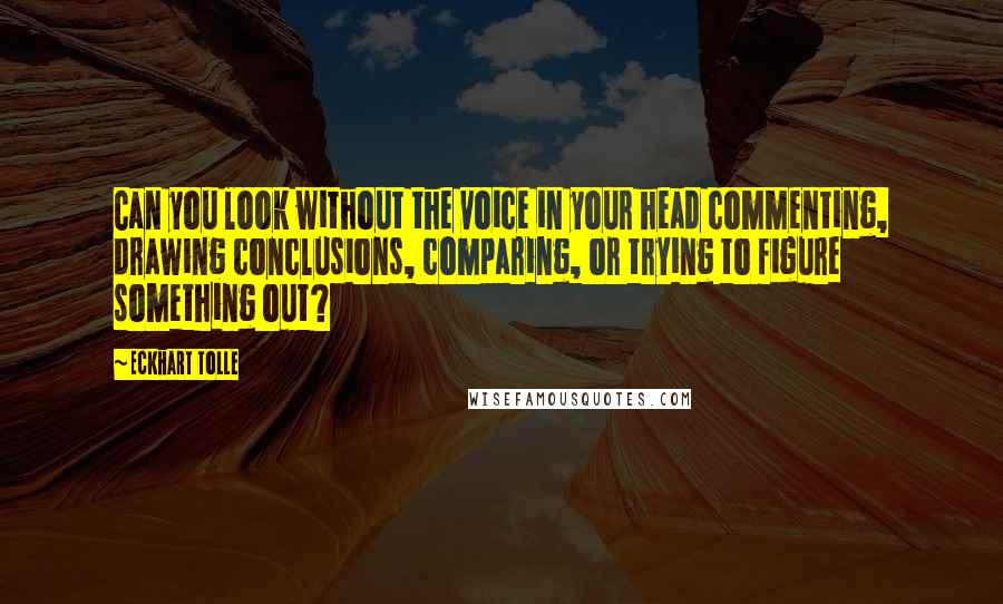 Eckhart Tolle Quotes: Can you look without the voice in your head commenting, drawing conclusions, comparing, or trying to figure something out?