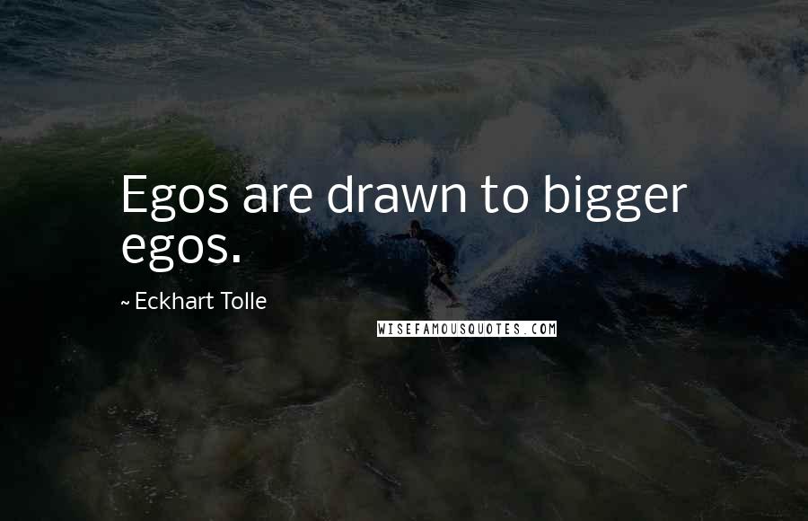 Eckhart Tolle Quotes: Egos are drawn to bigger egos.