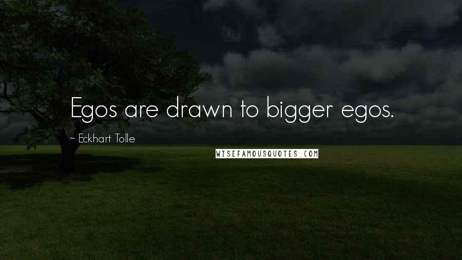 Eckhart Tolle Quotes: Egos are drawn to bigger egos.