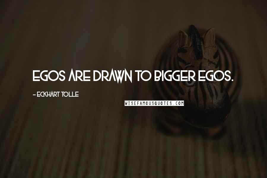 Eckhart Tolle Quotes: Egos are drawn to bigger egos.