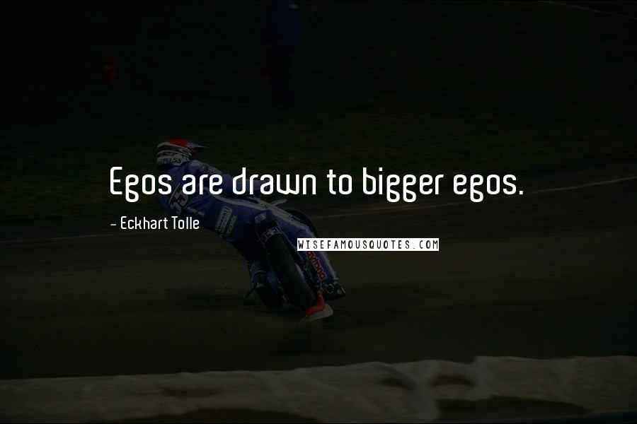 Eckhart Tolle Quotes: Egos are drawn to bigger egos.