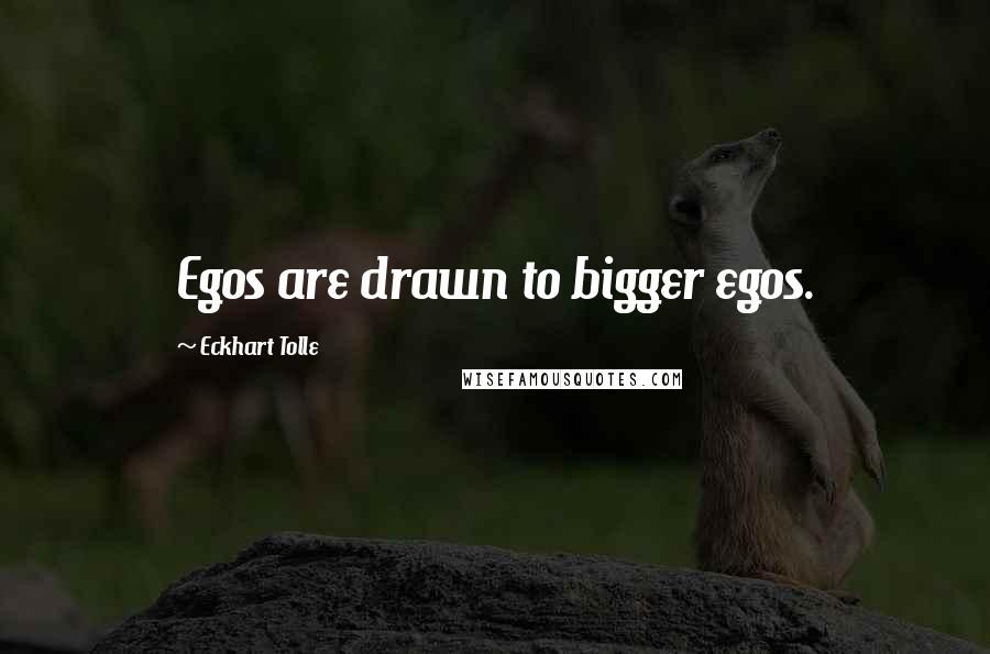 Eckhart Tolle Quotes: Egos are drawn to bigger egos.