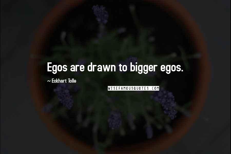 Eckhart Tolle Quotes: Egos are drawn to bigger egos.