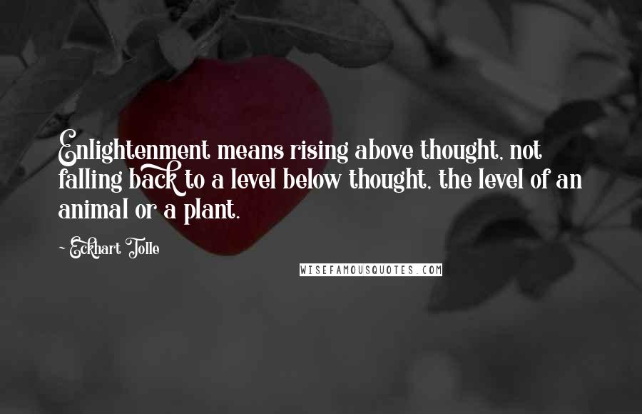 Eckhart Tolle Quotes: Enlightenment means rising above thought, not falling back to a level below thought, the level of an animal or a plant.