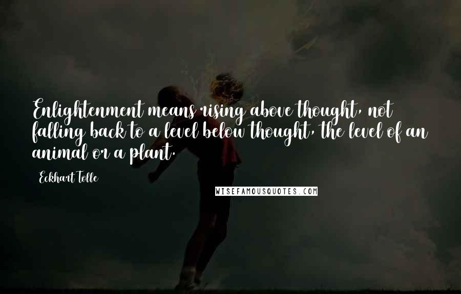 Eckhart Tolle Quotes: Enlightenment means rising above thought, not falling back to a level below thought, the level of an animal or a plant.