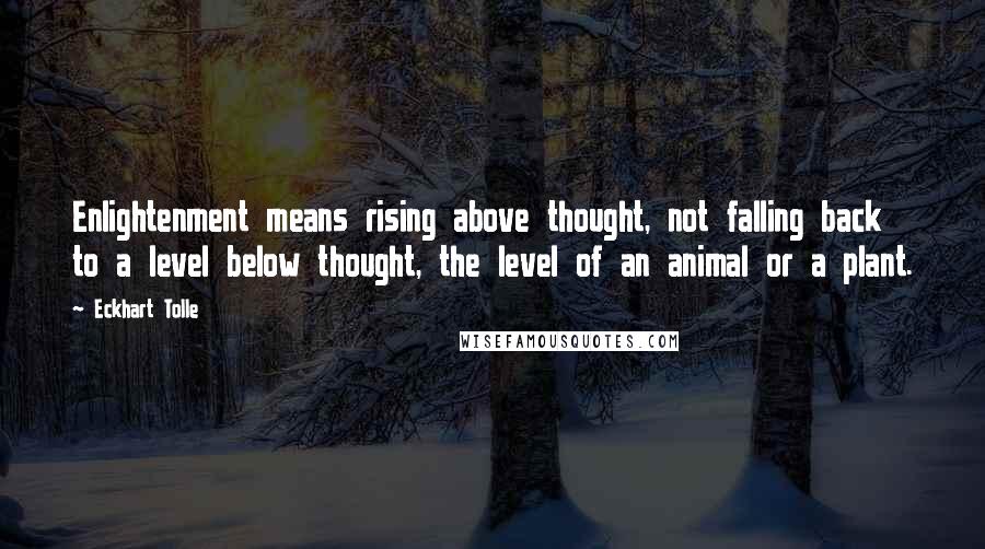 Eckhart Tolle Quotes: Enlightenment means rising above thought, not falling back to a level below thought, the level of an animal or a plant.