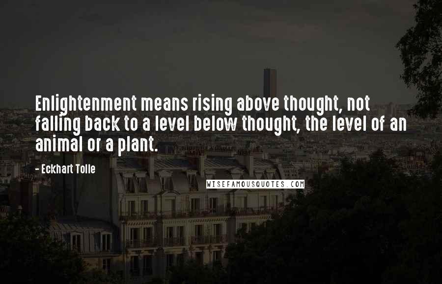 Eckhart Tolle Quotes: Enlightenment means rising above thought, not falling back to a level below thought, the level of an animal or a plant.