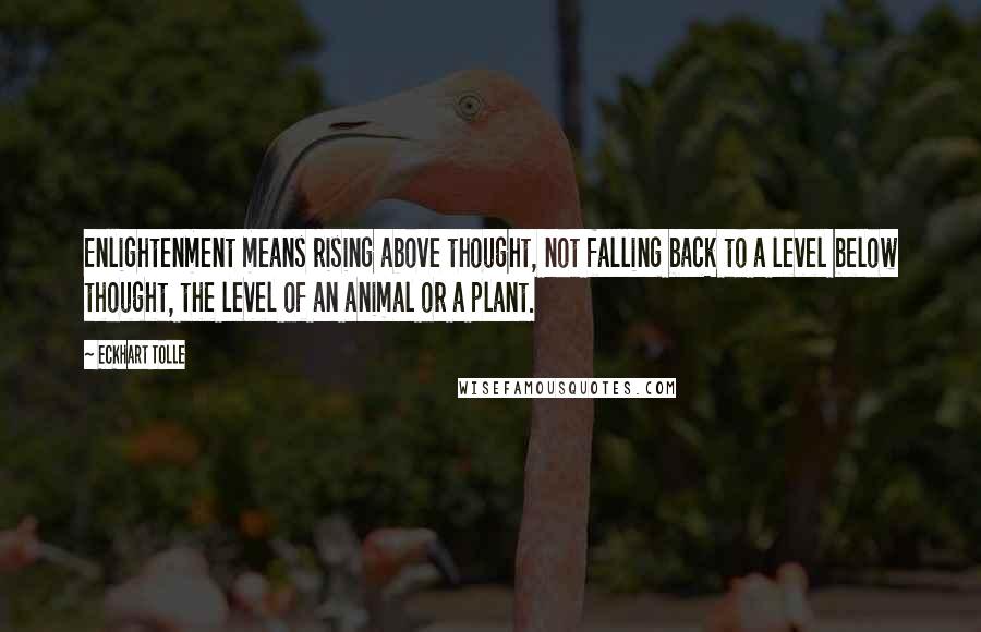 Eckhart Tolle Quotes: Enlightenment means rising above thought, not falling back to a level below thought, the level of an animal or a plant.